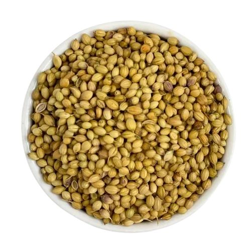 Badami Corinder Seeds