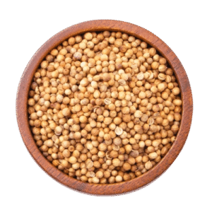 Coriander Split