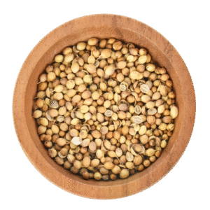 Eagle Corinder Seeds