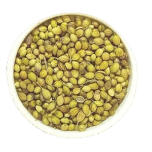 Parrot Corinder Seeds