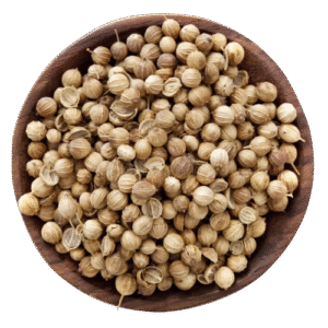 Scooter Corinder Seeds