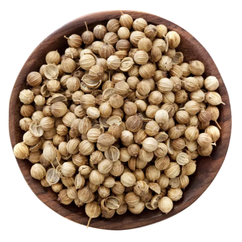 Scooter Corinder Seeds