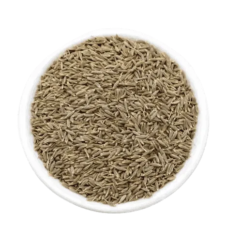 Cumin Seed